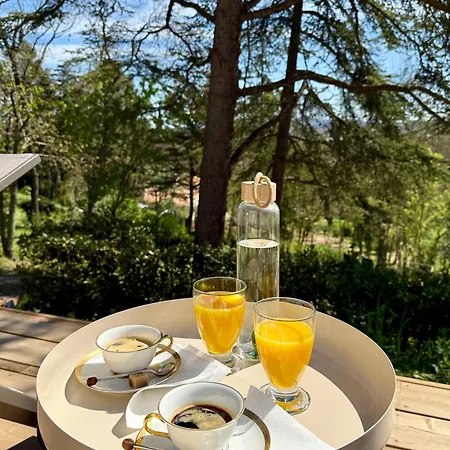 Avec Vue 4* Carcassonne