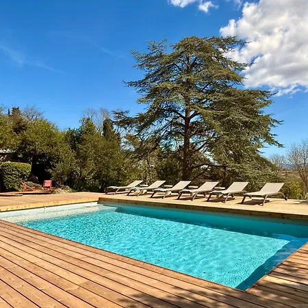 Avec Vue قرقشونه