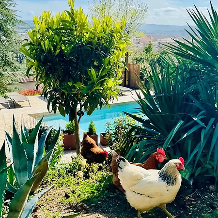 Avec Vue Carcassonne
